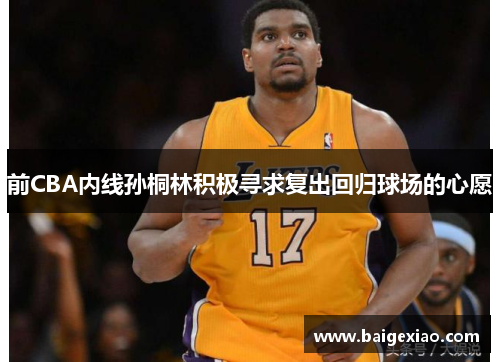 前CBA内线孙桐林积极寻求复出回归球场的心愿